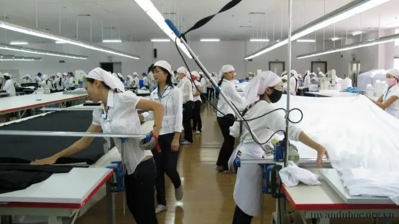 Độ tuổi xuất khẩu lao động Nhật Bản