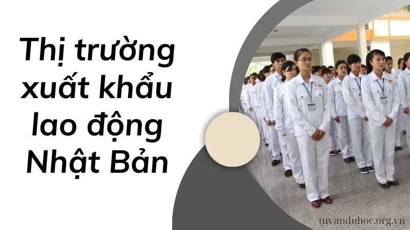 Đánh giá về thị trường xuất khẩu lao động Nhật