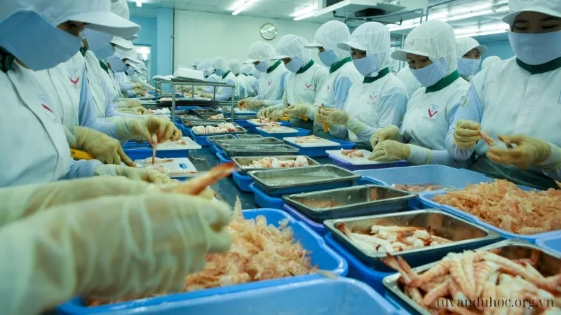 Thời gian khi xuất khẩu lao động Nhật Bản
