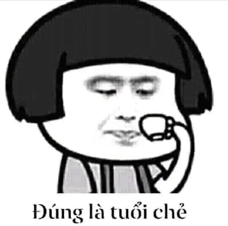 Ảnh chế meme chó bựa, biểu cảm hài hước gây bão mạng.