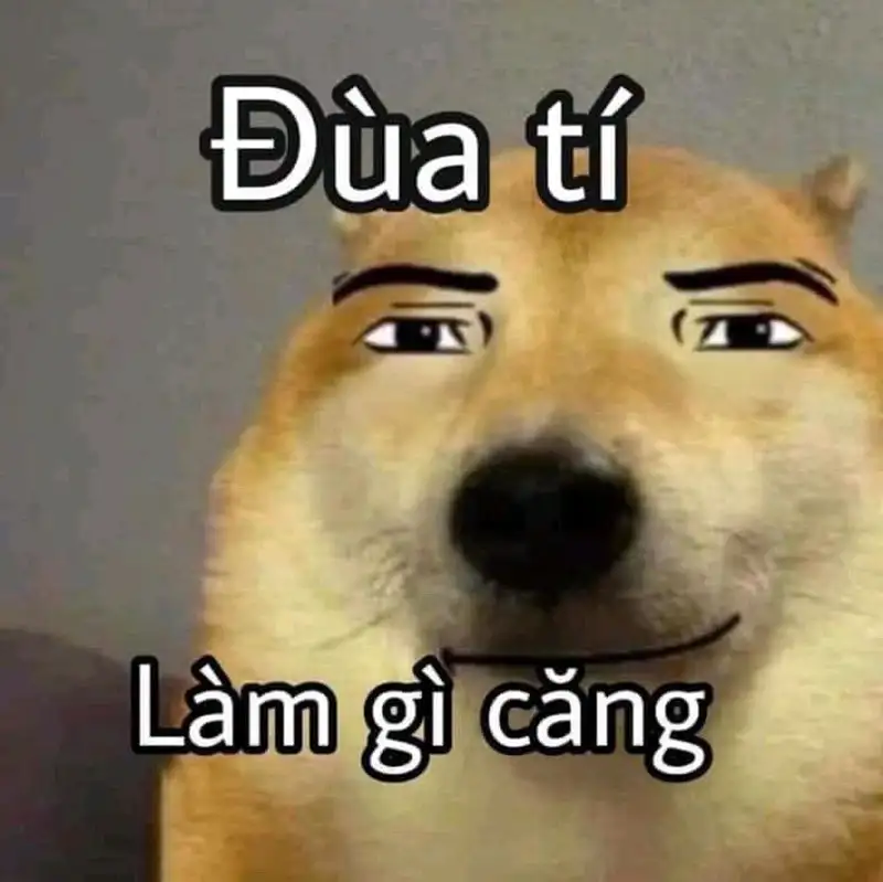 Meme bựa người hài hước, phá tan căng thẳng ngày dài.