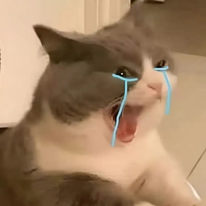Meme ếch khóc hài hước mang lại tiếng cười cho bạn
