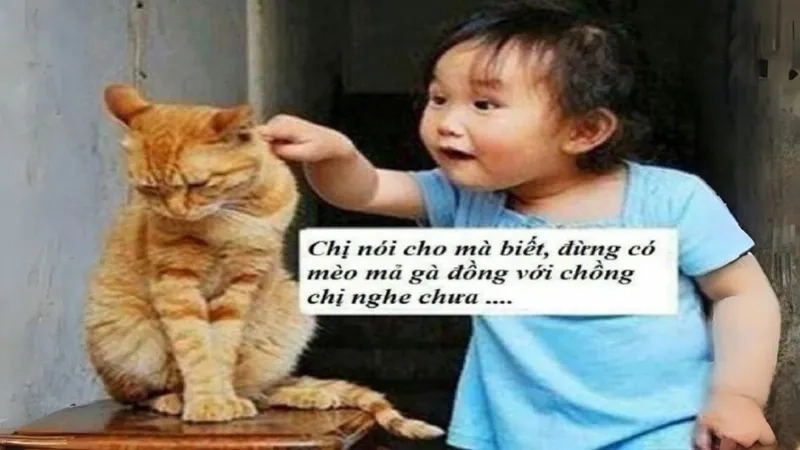 Hình icon meme cute dễ thương đầy sáng tạo độc đáo