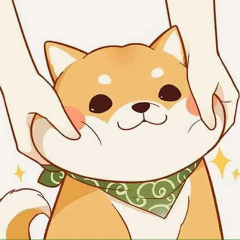 Thêm chút lạ với avatar mèo vô tri đáng yêu