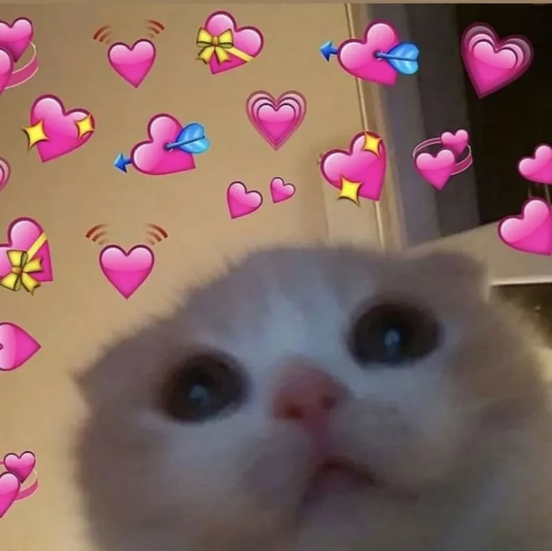 Heart meme trái tim mang lại cảm xúc ấm áp