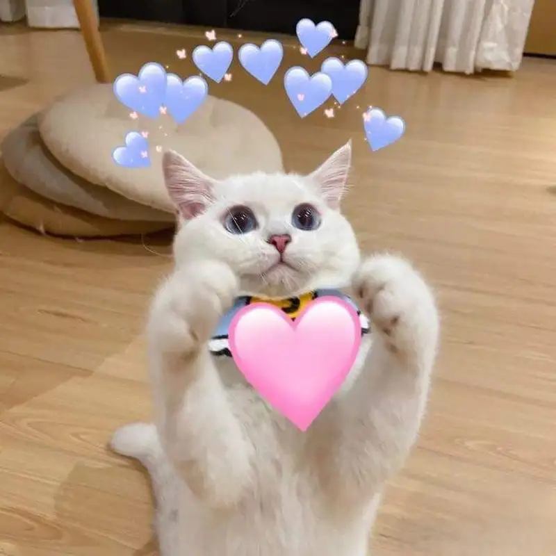 Meme trượt ván ghế tình yêu là sự kết hợp tuyệt vời giữa tình cảm và sự mạo hiểm!