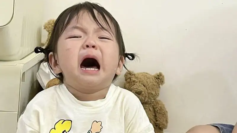 Meme ếch xanh khóc đáng yêu khiến bạn không thể rời mắt