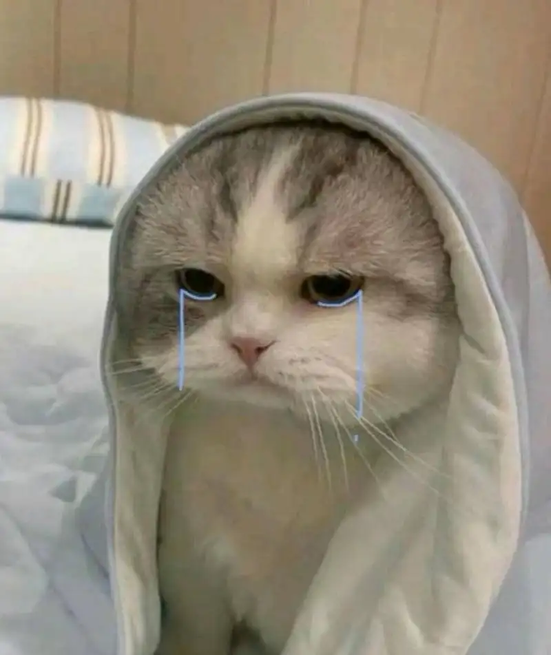 Ảnh meme buồn khóc thể hiện cảm xúc chân thật