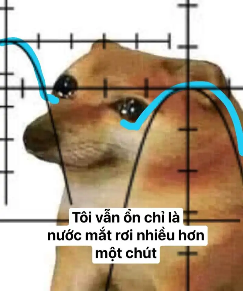 Meme jerry khóc hài hước khiến bạn không thể quên