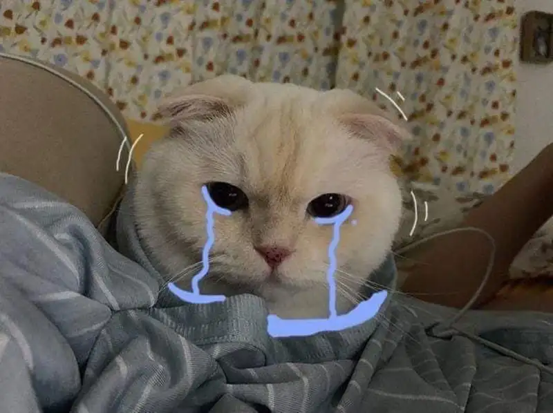 Meme khóc thét hài hước mang lại tiếng cười cho bạn