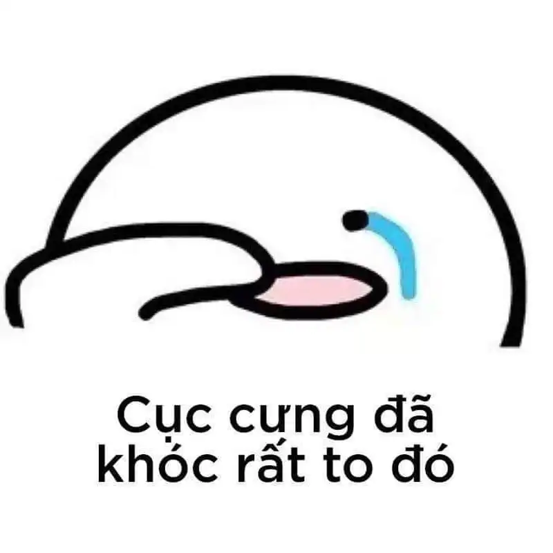Meme gấu khóc đáng yêu khiến bạn cảm thấy ấm lòng