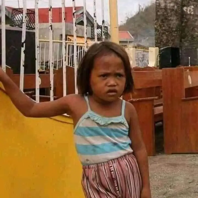Hình nền mèo tết meme làm tăng không khí vui nhộn ngày xuân