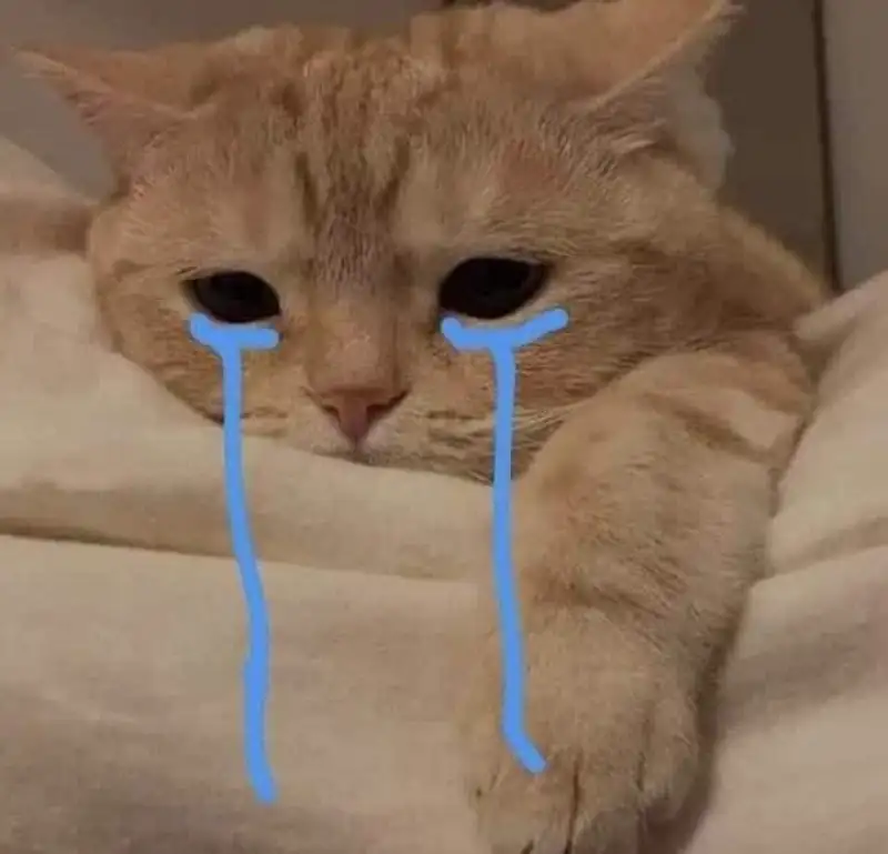 Ảnh meme khóc cười độc đáo tạo nên những khoảnh khắc đáng nhớ