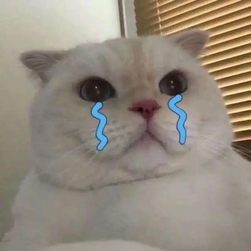 Meme vừa cười vừa khóc hài hước khiến mọi người thích thú