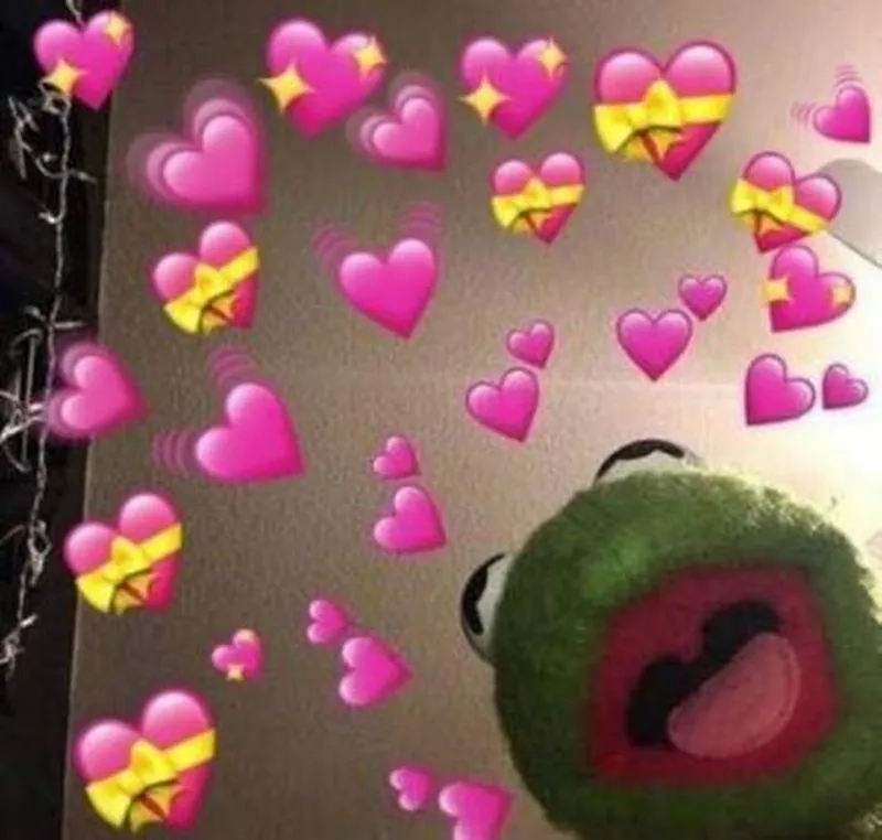 Meme chó thả tim mang lại niềm vui cho người yêu chó