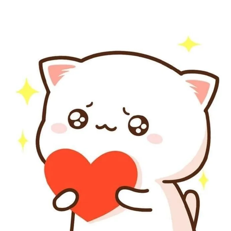 Meme ảnh mèo cute trái tim khiến bạn không thể rời mắt