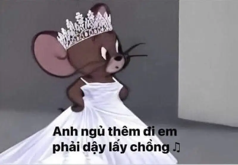 Meme mèo hun dễ thương làm tan chảy trái tim của những người yêu động vật và tình yêu.