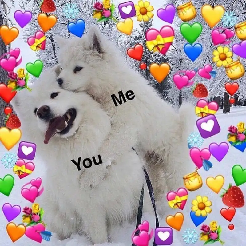 Không thể cưỡng lại những ảnh meme cute tình yêu làm bạn mỉm cười suốt cả ngày!