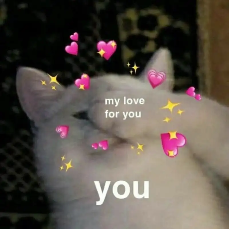 Meme dỗ người yêu là những hình ảnh dễ thương giúp bạn xoa dịu nỗi buồn