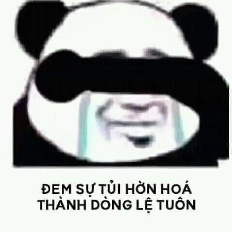 Meme mèo chuối khóc hài hước tạo nên những khoảnh khắc đáng nhớ