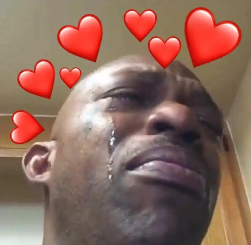 Khóc meme mèo cute dễ thương khiến mọi người thích thú