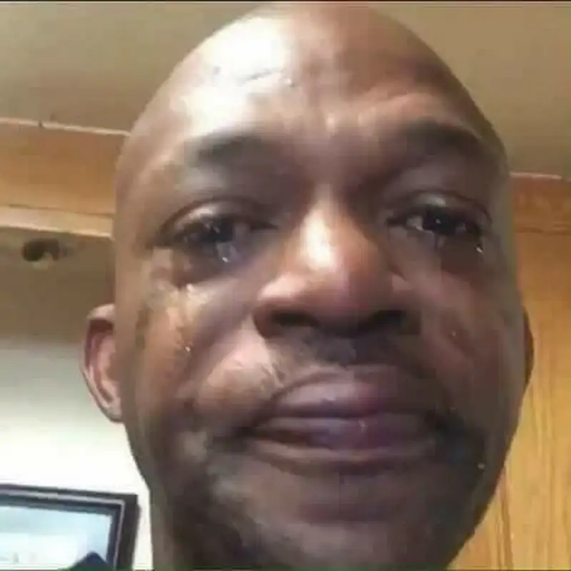 Khóc meme mèo đáng yêu tạo nên những khoảnh khắc vui vẻ