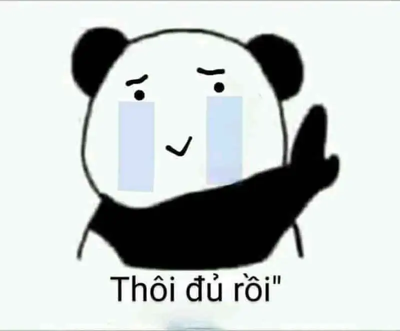 Meme mèo khóc che miệng hài hước tạo nên tiếng cười