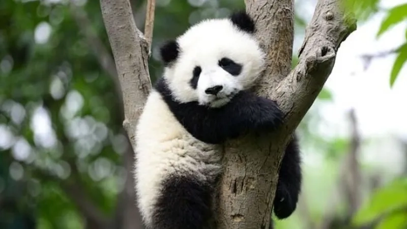 Ảnh đại diện meme hài giúp bạn nổi bật hơn