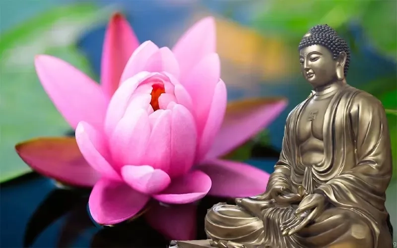 Ảnh Phật A Di Đà làm hình nền điện thoại mang đến sự bình an