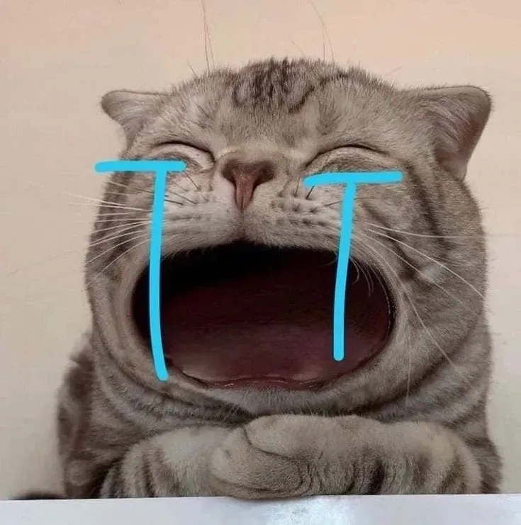 Vô tri avatar ảnh mèo cute dễ thương nhất
