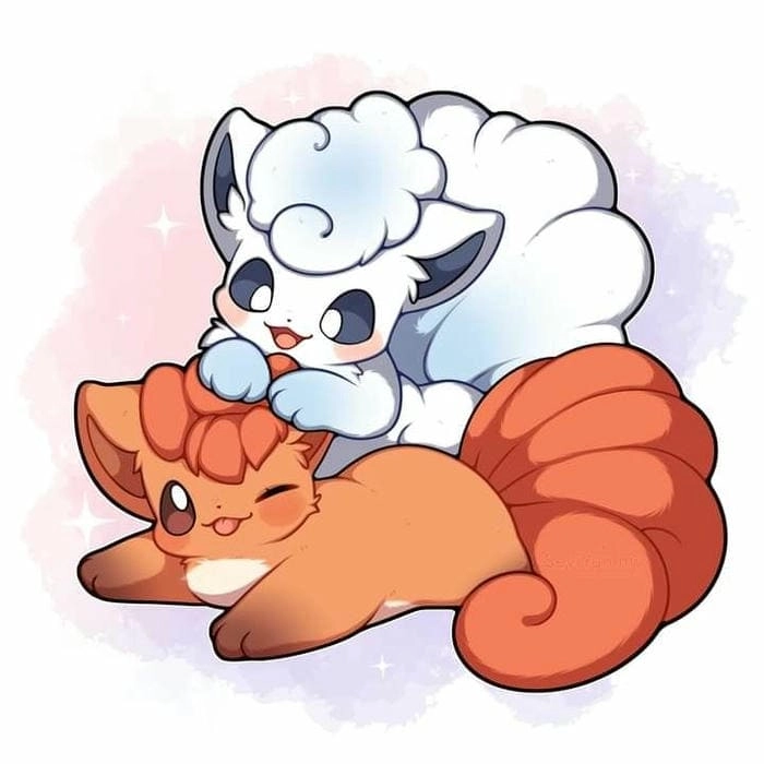 Ảnh cáo cute mang đến cảm giác ấm áp