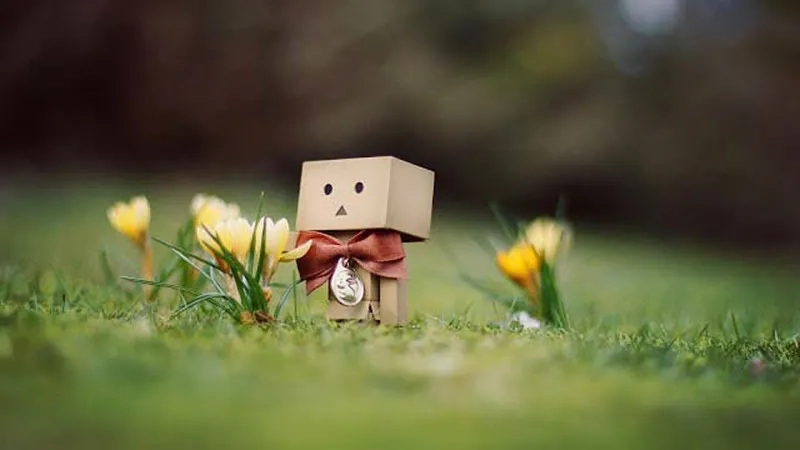 Thêm ảnh đại diện fb đẹp để làm nổi bật trang cá nhân