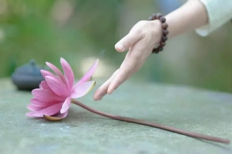 Những hình ảnh đại diện đẹp tạo ấn tượng mạnh