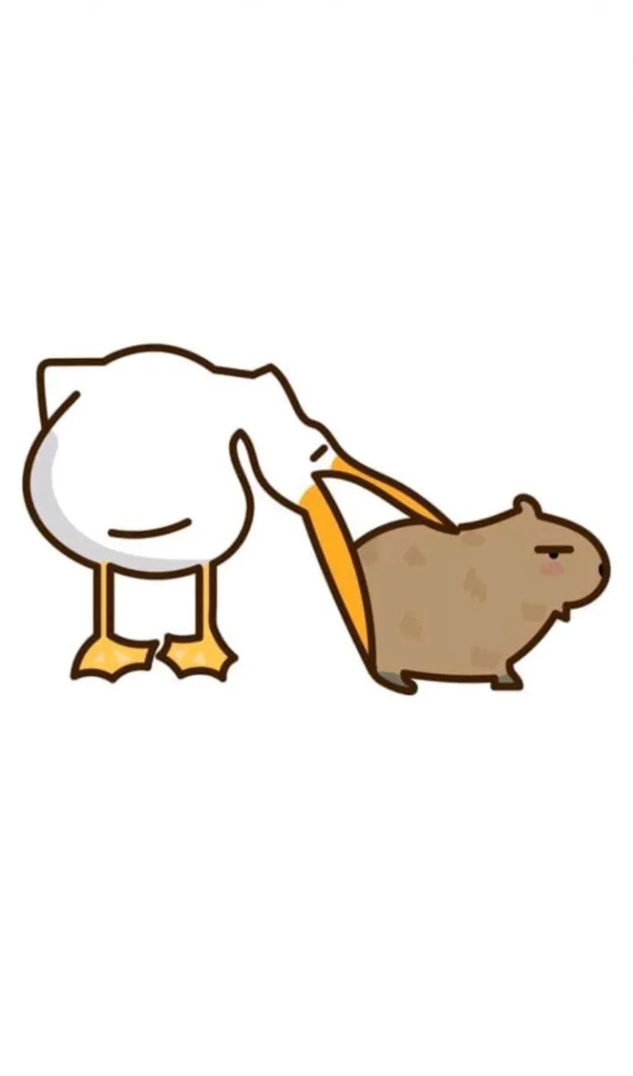 Hình nền capybara cute siêu dễ thương