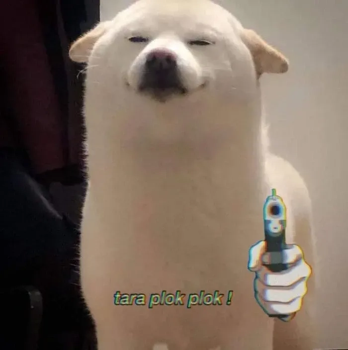 Chó vàng meme hài hước cực dễ thương