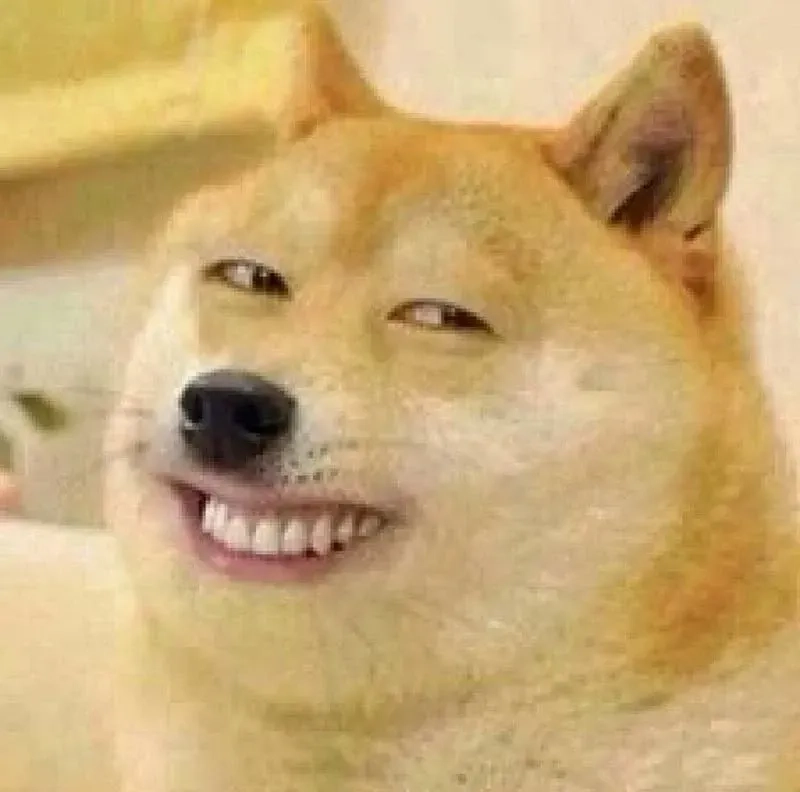 Hình meme chó ngộ nghĩnh và hài hước