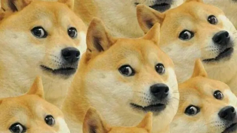 Hình ảnh meme hài hước cho những phút giây vui vẻ