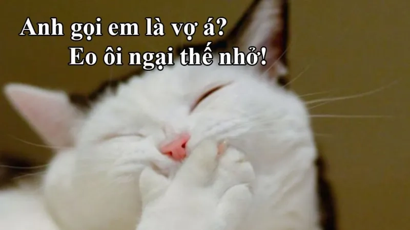 Avatar meme hài hước giúp bạn nổi bật trên mạng