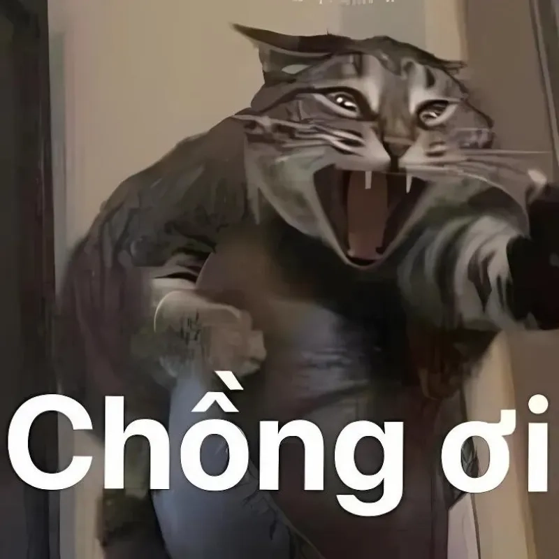 Ngày mới vui vẻ với meme ảnh mèo bựa