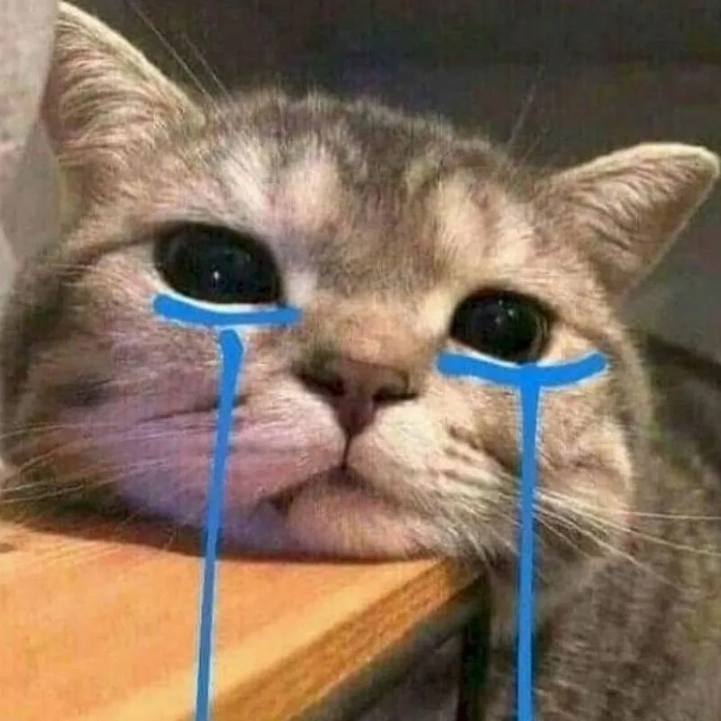 Xả stress với meme mèo khóc cute