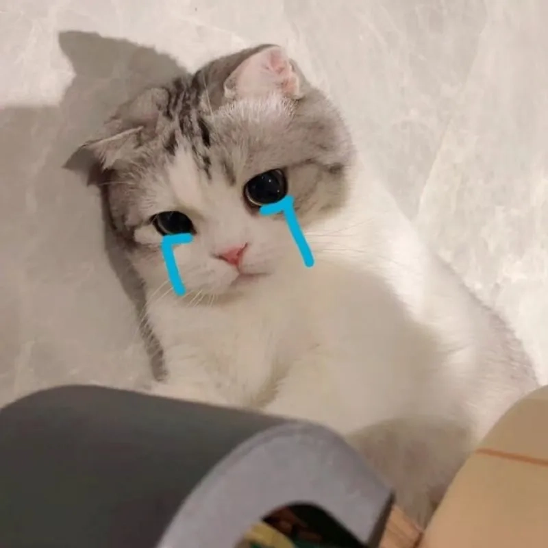 Vui buồn cùng mèo khóc meme