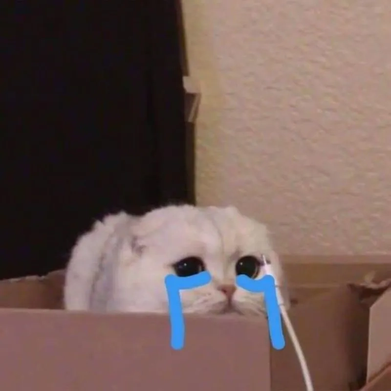 Thổn thức với meme con mèo khóc