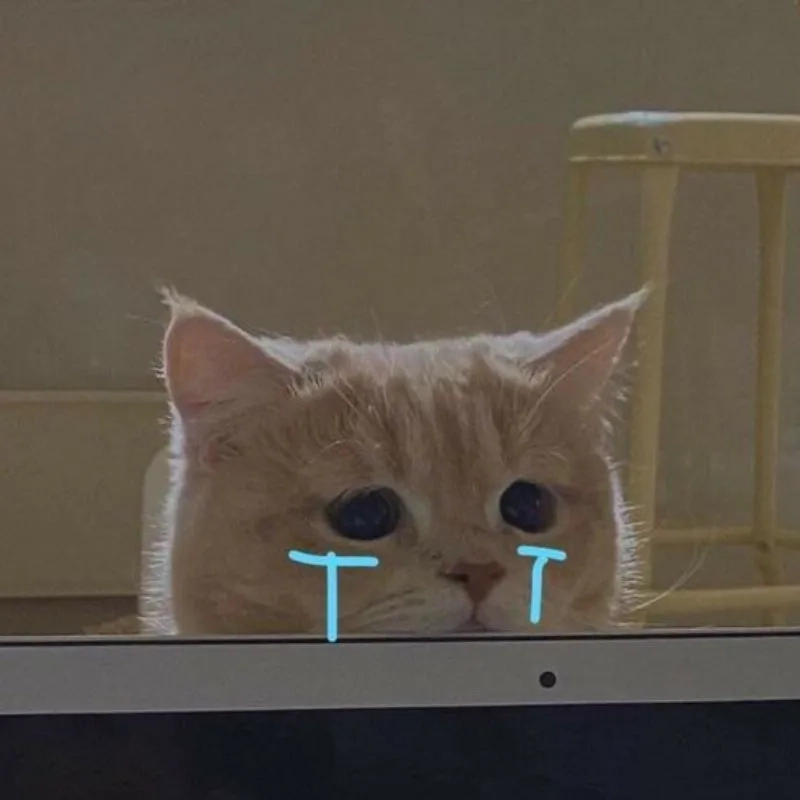Meme mèo khóc like khiến ai cũng phải thả tim