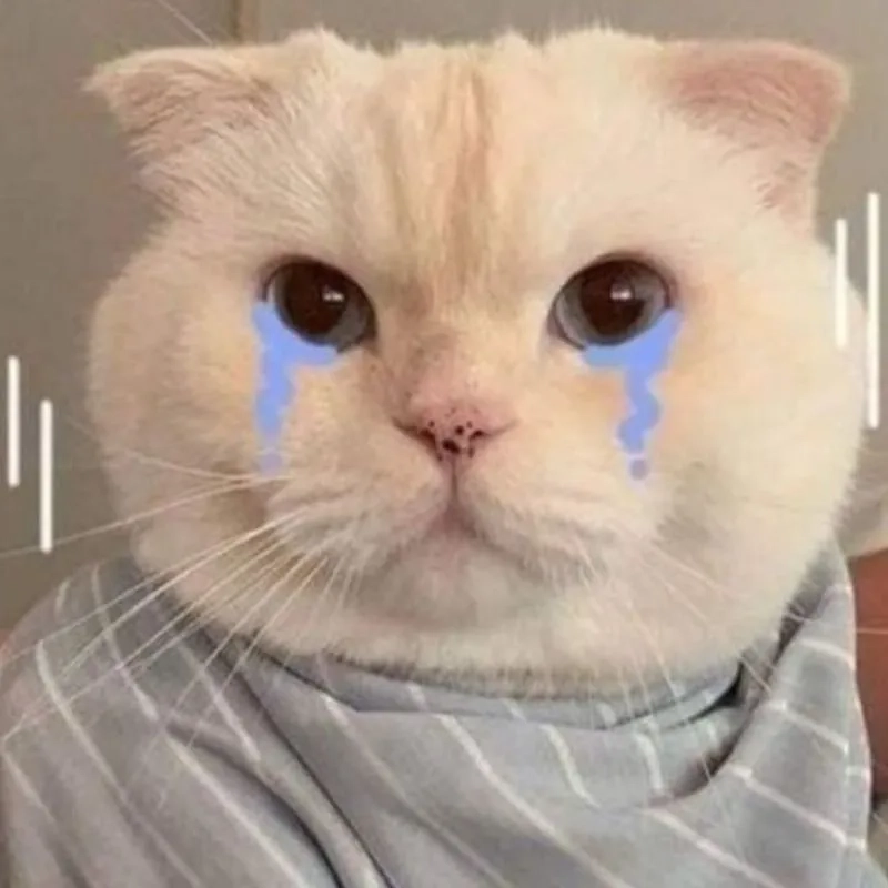 Lột tả cảm xúc với ảnh meme mèo khóc