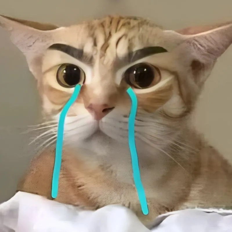 Cảm động với ảnh mèo khóc meme dễ thương