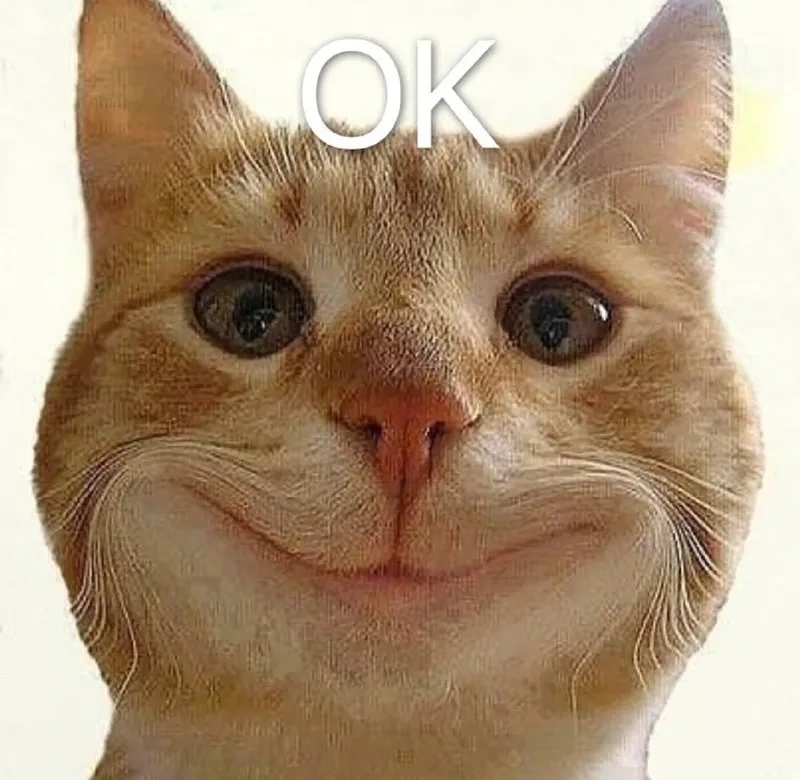 Meme con mèo ok nhìn là thấy duyệt liền