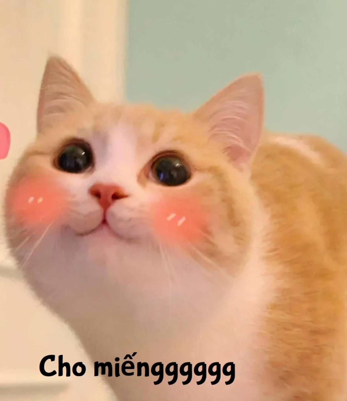 Hình avatar con mèo cực ngầu và cuốn hút