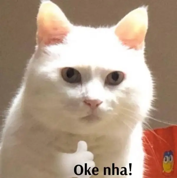 Um ok meme khi chẳng biết nói gì hơn