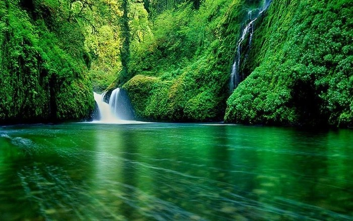 Background phong cảnh 4k sắc nét sống động từng chi tiết