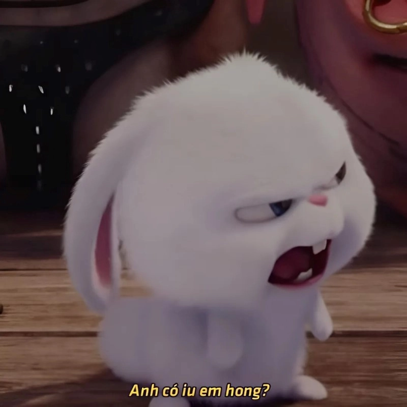 Meme yêu nhau với khoảnh khắc cực đáng yêu